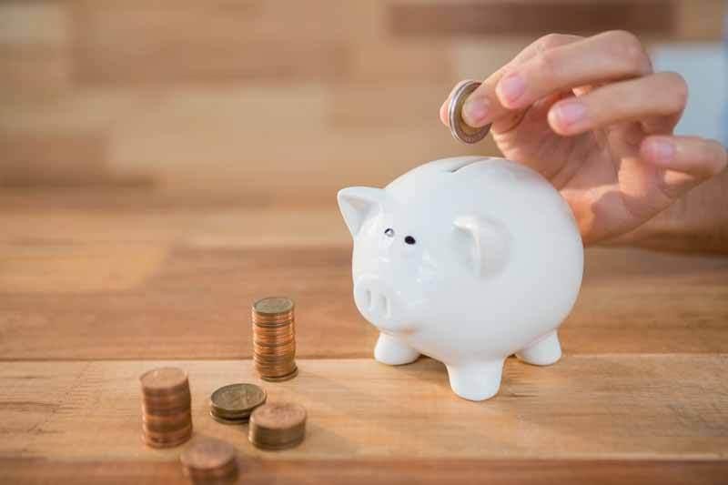 Piggy Bank image